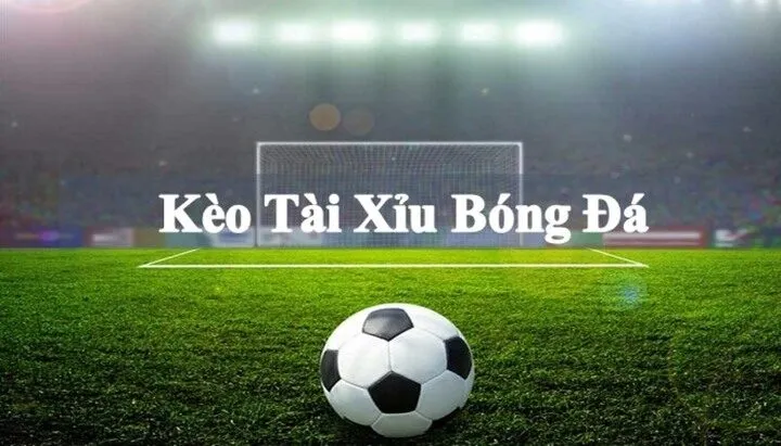Cách chơi cá cược trực tuyến với Kèo Tài Xỉu