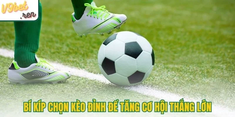 Bí kíp chọn kèo đỉnh để gia tăng cơ hội thắng lớn