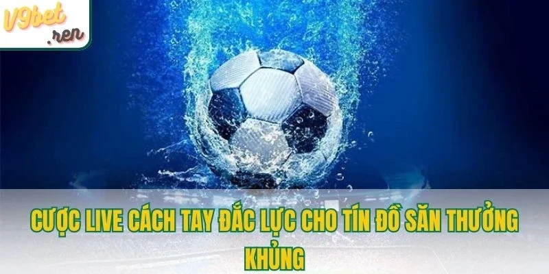 Cược live cách tay đắc lực cho tín đồ săn thưởng khủng