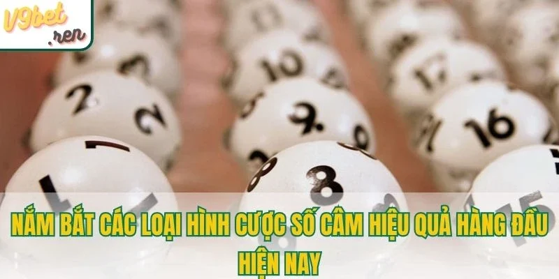 Nắm bắt các loại hình cược số câm hiệu quả hàng đầu hiện nay