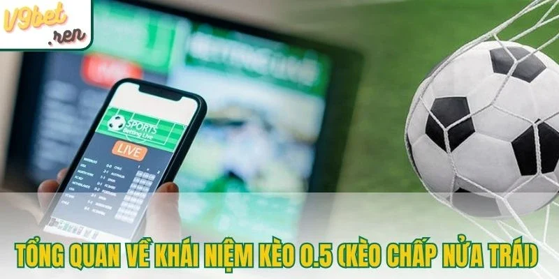 Tổng quan về khái niệm kèo 0.5 (kèo chấp nửa trái)